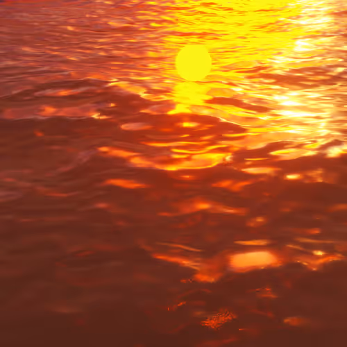 Item #55200040009 Media