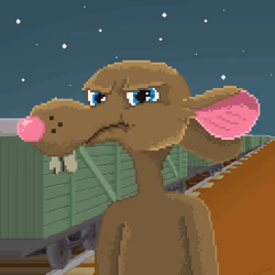WildWestRatz #697