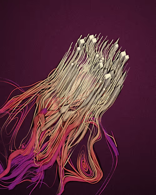 Item #3000100052 Media