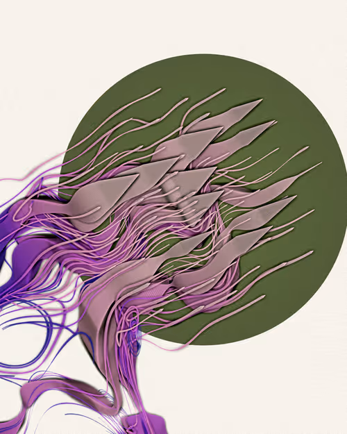 Item #3000100007 Media