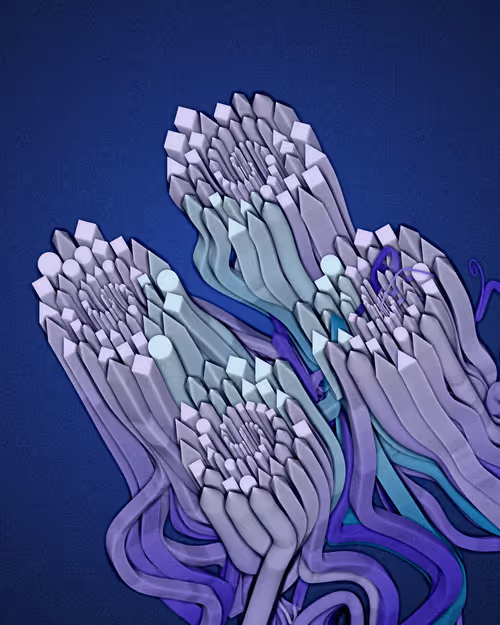 Item #3000100078 Media