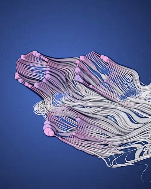 Item #3000100005 Media