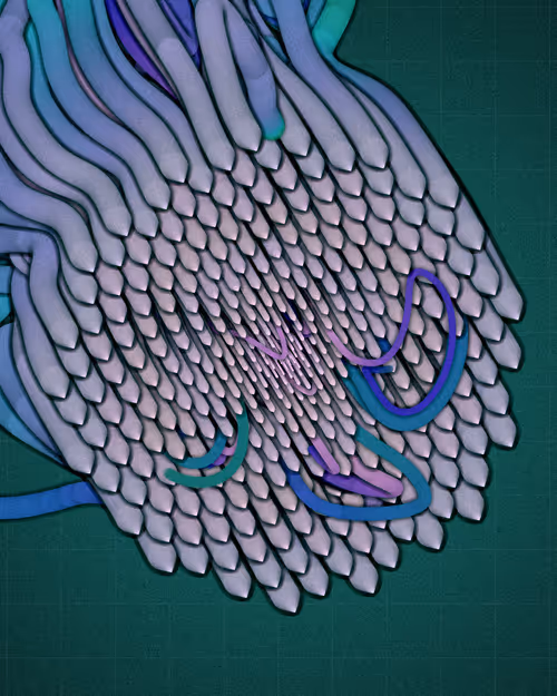 Item #3000100080 Media