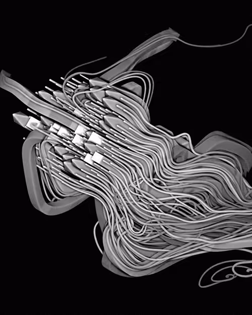 Item #3000100004 Media