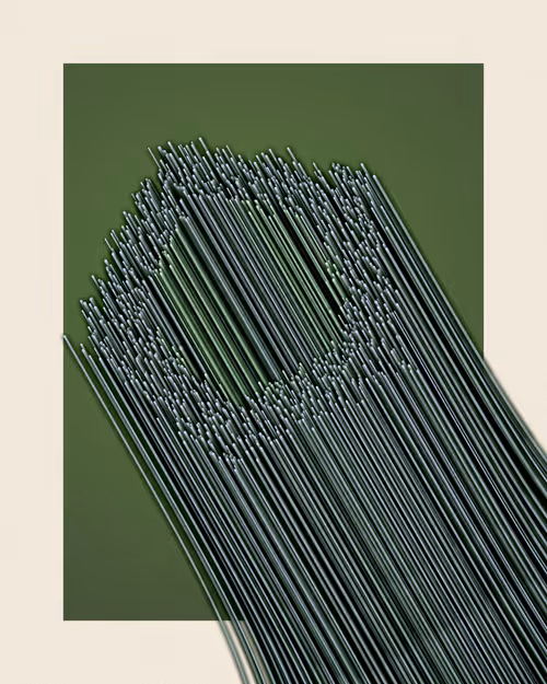 Item #3000100026 Media