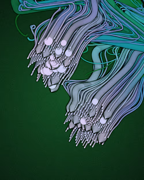 Item #3000100089 Media