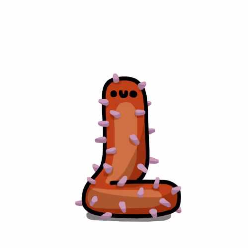 LLA Sea Cucumber #541