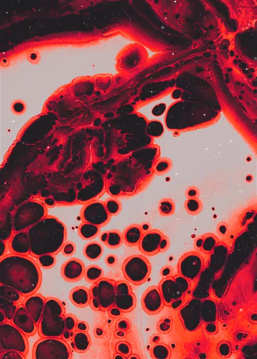 Item #29100070003 Media