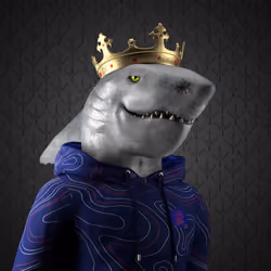 W.O.S. Club Sharks #865