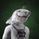 W.O.S. Club Sharks #977
