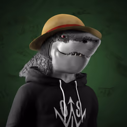 W.O.S. Club Sharks #2343