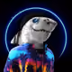 5093