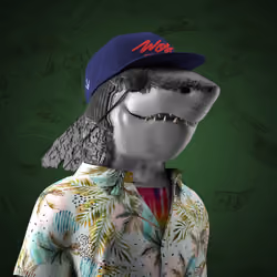 W.O.S. Club Sharks #2152