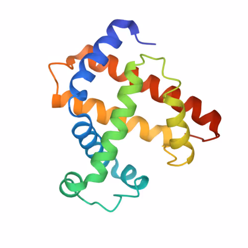Protein Art
