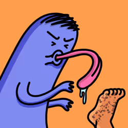 81