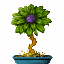 Flower #24492