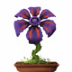 20507