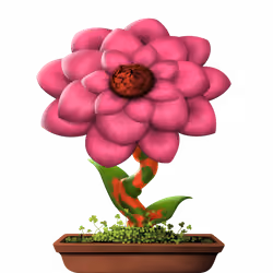 Flower #19781