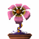 20406