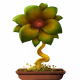 Flower #6320