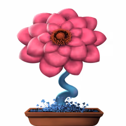 Flower #24209