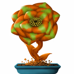 Flower #24675