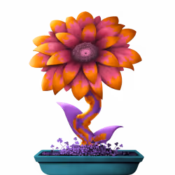 Cora