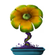 20414