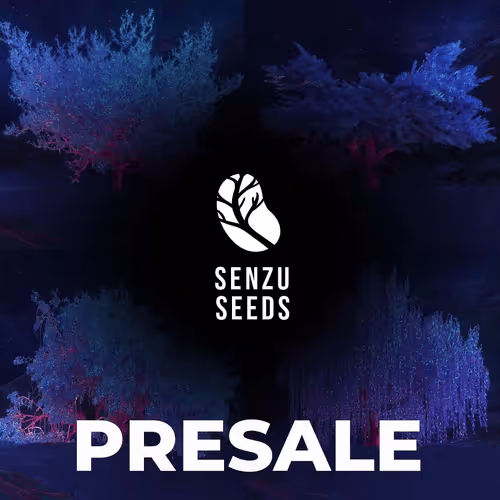 Senzu Seeds Presale