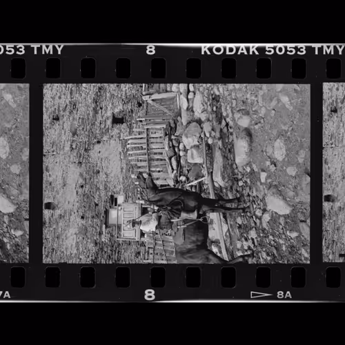 First Film 1