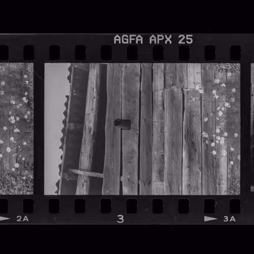 First Film 1