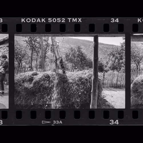 First Film 1