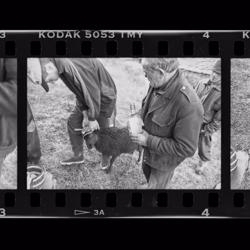 First Film 1