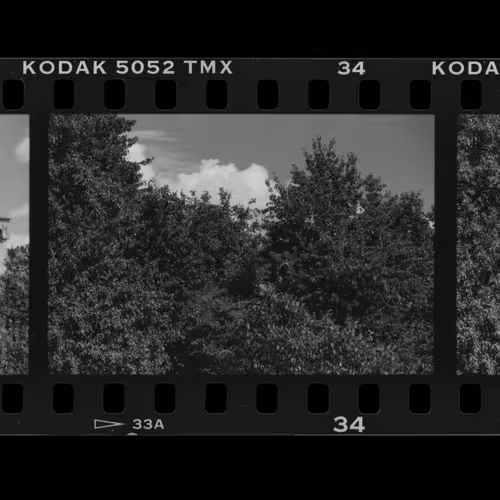 First Film 1