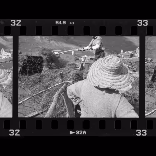First Film 1