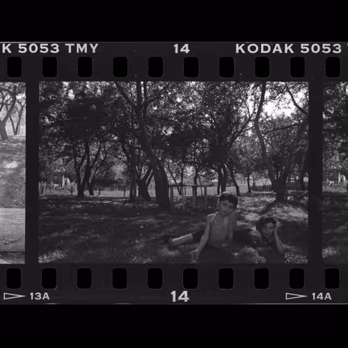 First Film 1