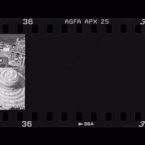 First Film 1