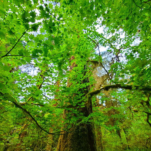 Travels - f8pivCx2qm