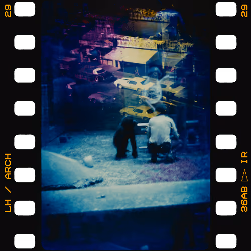 36AB29