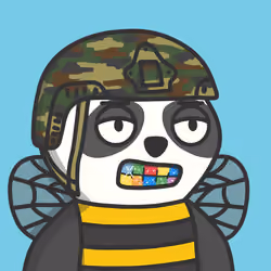 PANDUH #1185