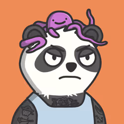 PANDUH #902