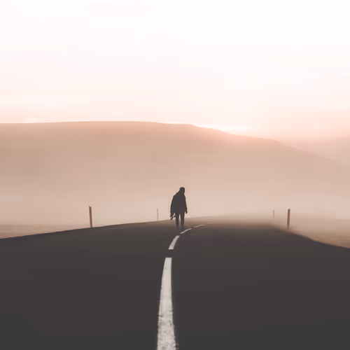In Search