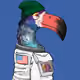 4243