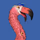 1650