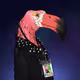 2172