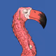 753