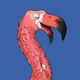 2426