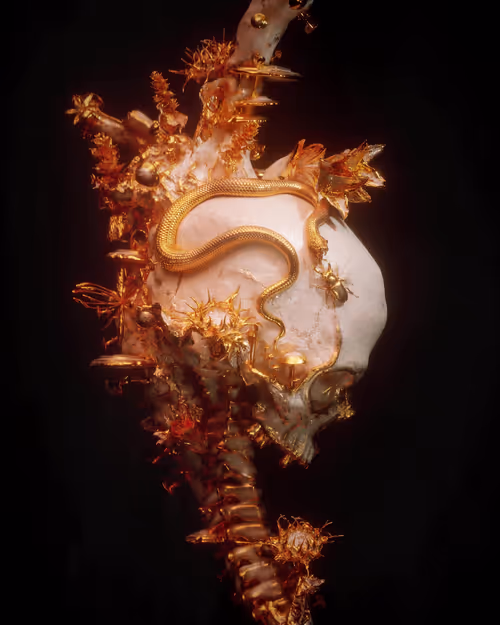 Item #33400050017 Media