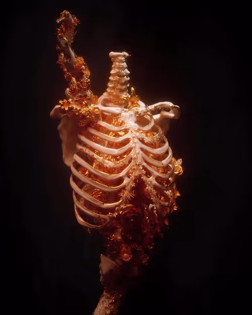 Item #33400070004 Media