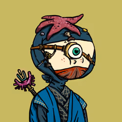Ninja #2482